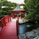 NB Tea House-319