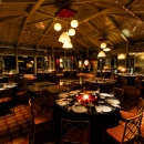 Tea House 336RS