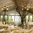 Trevi Garden 310RS